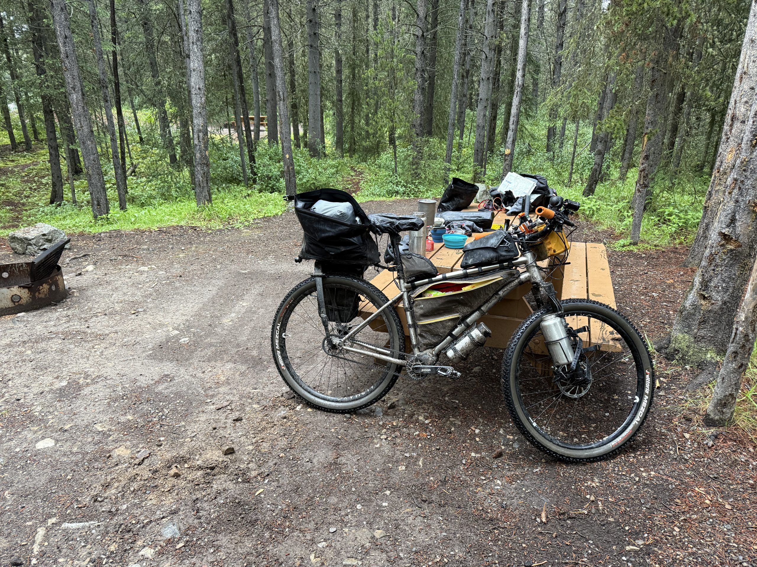 Trail Photo by robin