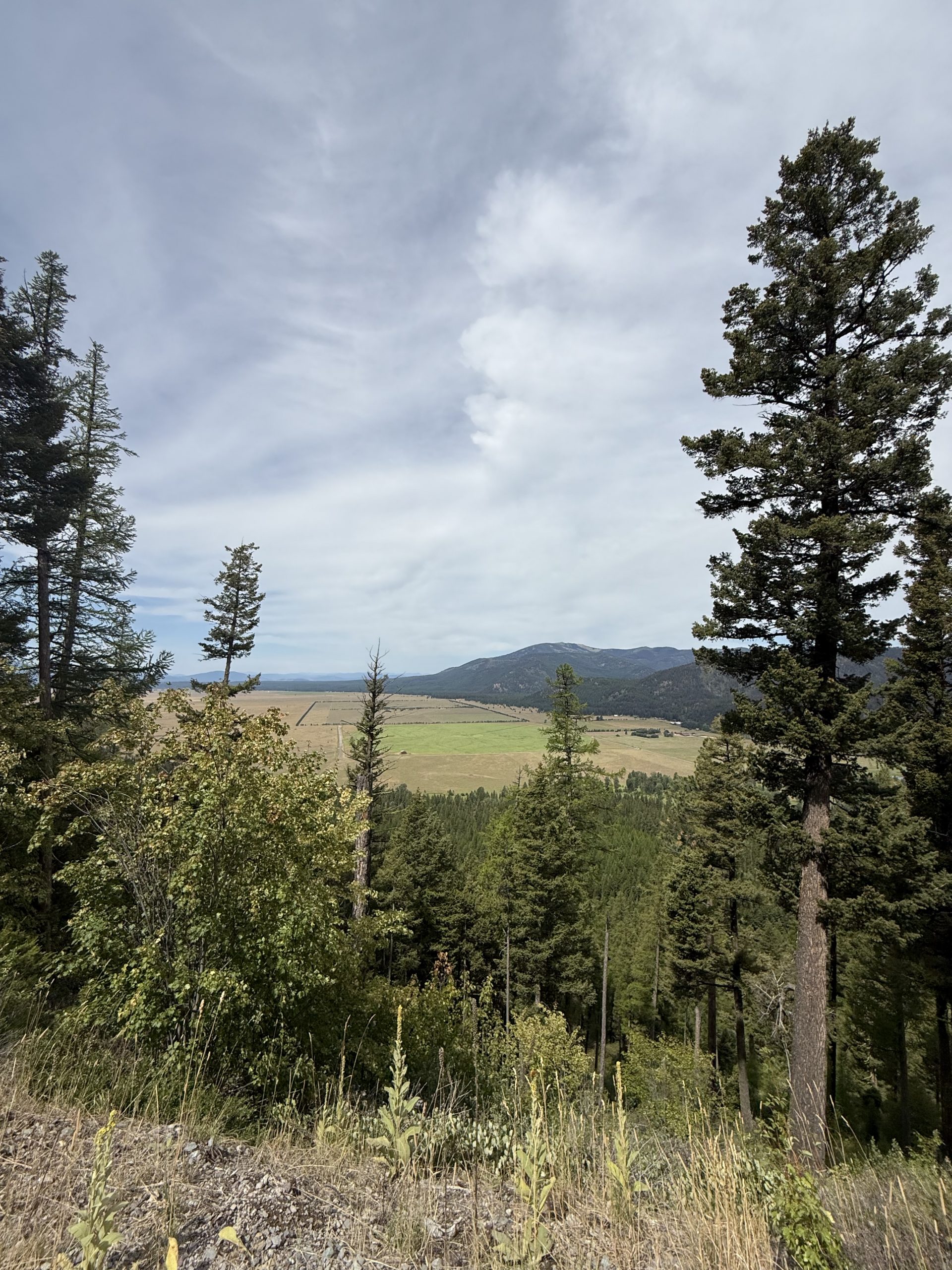 Trail Photo by robin