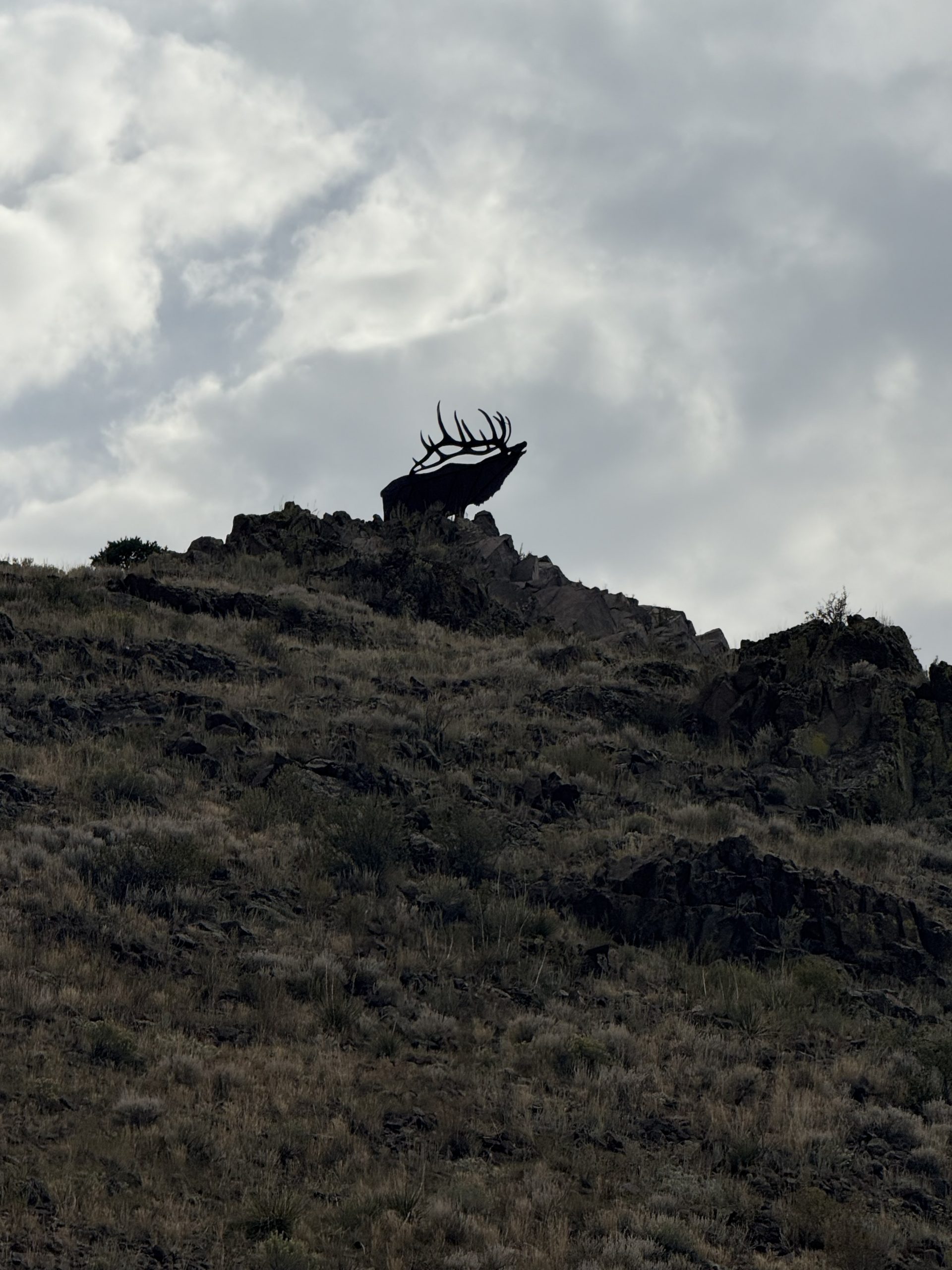 Trail Photo by robin hamilton